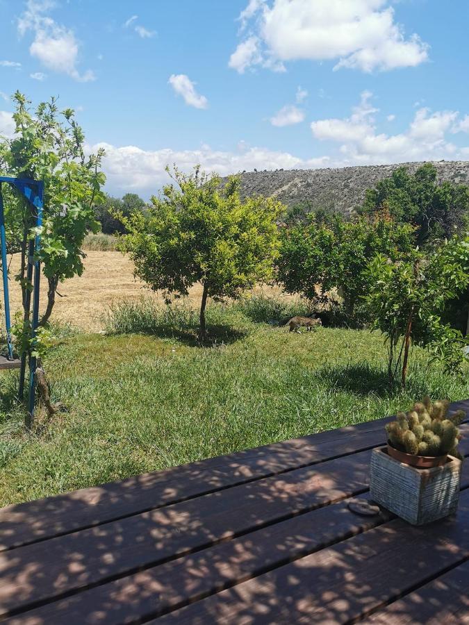 Ampelokipi Holiday Apartments Pissouri Dış mekan fotoğraf